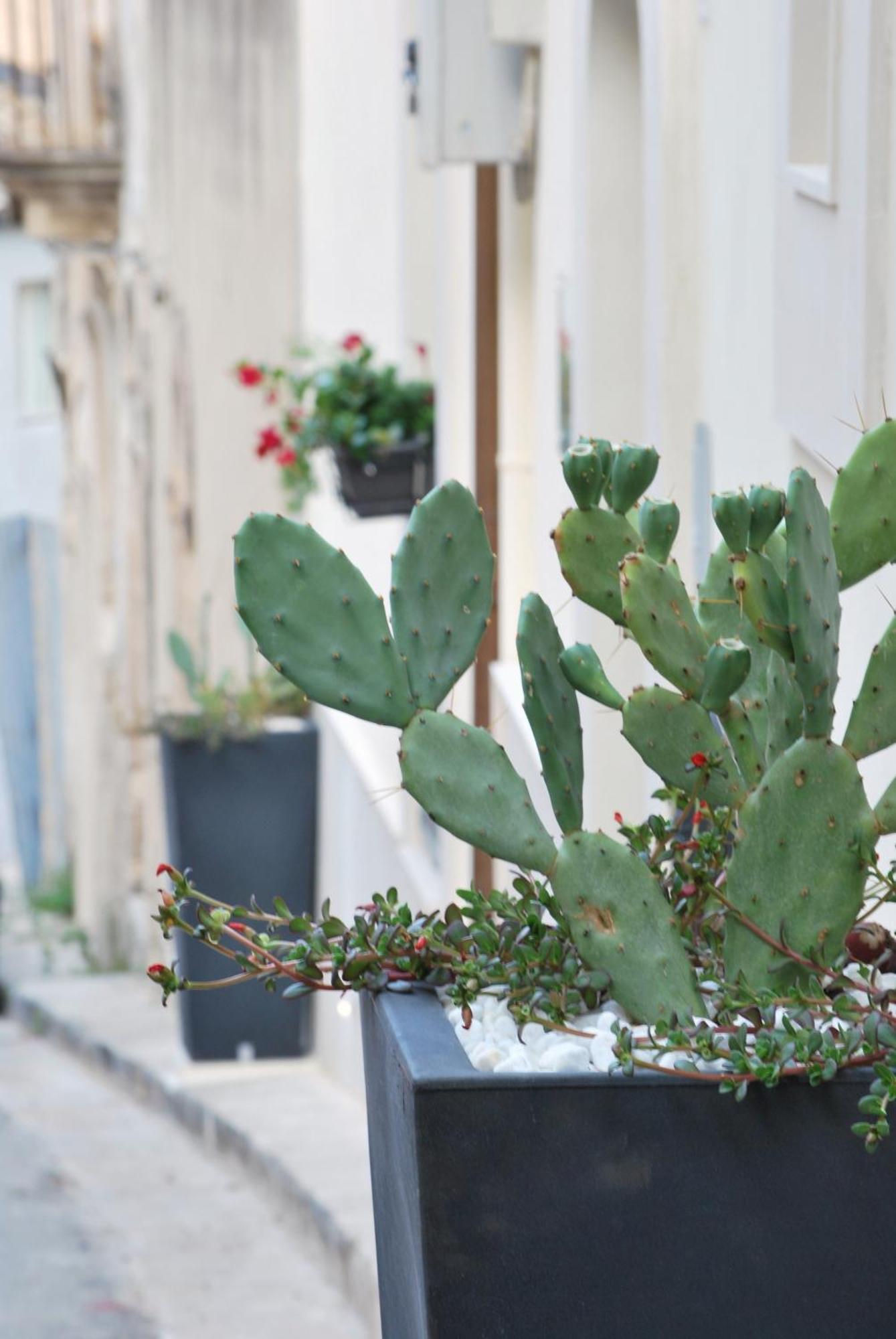 A Casa Di Grazia Bed & Breakfast Ragusa Exterior photo